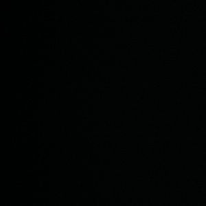 Meet your Posher, Pal